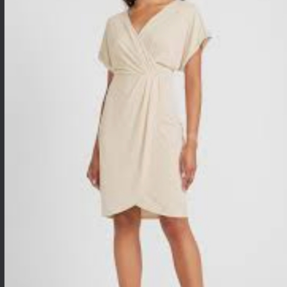 XL Nude Dress from Express